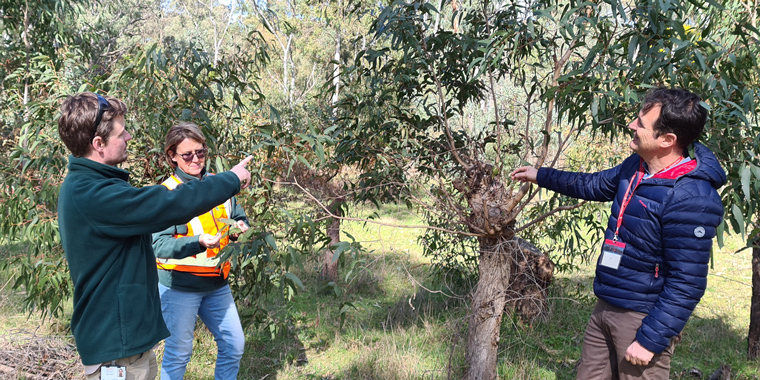 RESPONSIBLE FORESTRY IS SUSTAINABLE FORESTRY