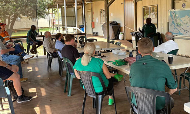 NT and Tiwi Islands Forestry Growth