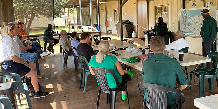 NT and Tiwi Islands Forestry Growth