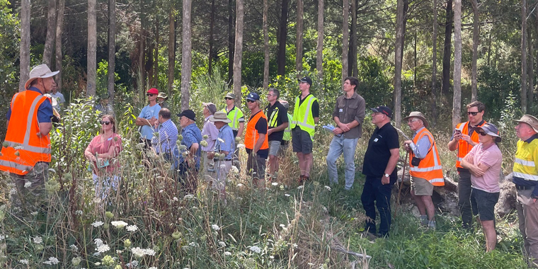 CREATING SUSTAINABLE HARDWOODS INDUSTRIES IN NZ