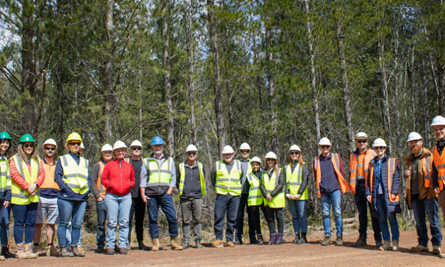 BRIDGING THE GAP BETWEEN FOREST AND BUILDING