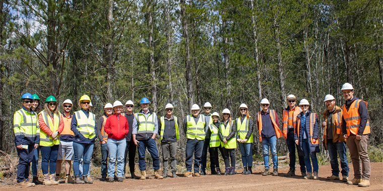 BRIDGING THE GAP BETWEEN FOREST AND BUILDING